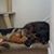 Karen Kelly Gurgel's profile image