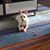 Susan Weber Khouri's profile image