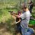 Ryan Whittington's profile image