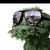 Bruce Isaacs's profile image