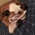 Alex Halbrucker's profile image