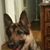 Adela Suazo's profile image