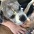 Sherry Liney's profile image