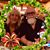 Christine A. Bonas's profile image