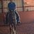Shirley Taylor's profile image
