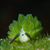 Christian Anderson's profile image