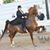 Jane Ann Godsey's profile image