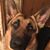 Rhonda V Ford's profile image
