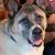 Caryl Buffa's profile image