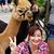 Karen Anderson's profile image