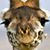 Nancy Short McManaway's profile image