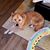 Kimberly Wallace Lucas's profile image
