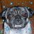 Yolande Spund's profile image