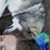 Kalyssa Roddewig's profile image