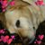 Cheer Kosak's profile image