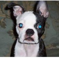 Vivian Fix's profile image