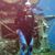 Ricky D. Vanderhoof's profile image