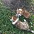 Kim McKnight Doby's profile image