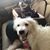 Suzanne Welch's profile image