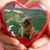 Jan Sloan's profile image