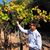 Alberto Villaseca's profile image