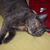 Lynn Oatman's profile image