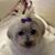 Kim Sullivan's profile image