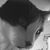 Squeck Thach's profile image