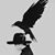 Erin Murphy-Bergstrom's profile image