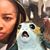 Carmella Nicole's profile image