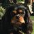 Roberta Schuman Kline's profile image