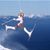 Jessica Stevenson's profile image