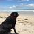 Clare Todd's profile image