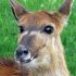 don e.'s profile image