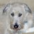 Wayne Williams's profile image