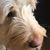 Lynne Pappas-Koukios's profile image
