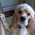 Wendy Jackson's profile image
