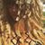 Morgan Shepler's profile image