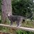 Debbie Hogue's profile image