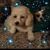 Janet Adams's profile image