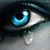 Amy Mackey's profile image