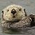 Lois Sinko's profile image