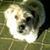 Jacquelyn Menchey Waddell's profile image