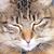 Beth Alloway's profile image