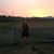 Jessie Walz's profile image
