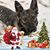 Yelena Schepkin's profile image