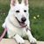 Debbie Clemons Bowlin's profile image