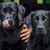 Linda Dana Williams's profile image