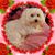 Linda Charles-Christian's profile image