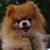 Karen Godhardt's profile image